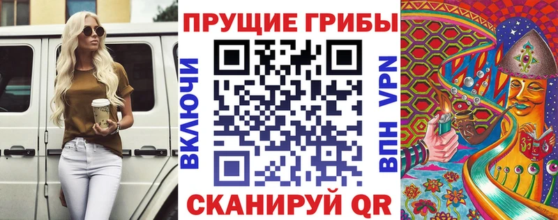 Псилоцибиновые грибы мицелий Котельниково
